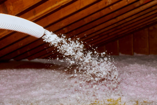 Best Crawl Space Insulation  in Boonville, NC